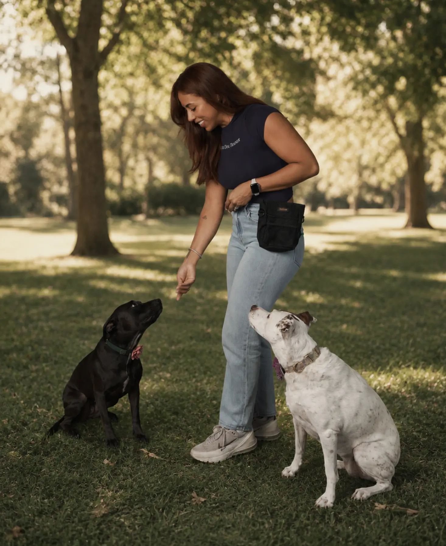 Daisy training two dogs in a sunny park